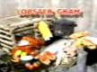 Lobster Gram On Wheel Of Fortune Review