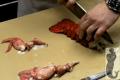 Lobster Shelling Mermaid Inn Style Video