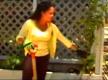 How To Plant Mini Dwarf Fruit Trees