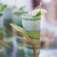 How To Make Blended Mojitos