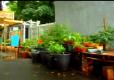 Patti'S First Farm Stand