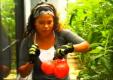 Patti Moreno's Tomato