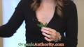 Organic Strawberry Rose Geranium Ice Cream Recipe