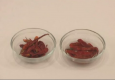 Chinese Cooking Ingredients