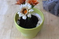 Mother's Day Potted Plant Ice Cream Cake