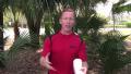 Are Genetically Modified Foods Healthy
