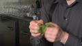 Tips To Muddle Mint