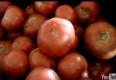 Cooked vs Raw Tomatoes - Part 1