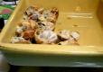 How To Make Spaghetti With Escargots
