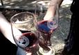 Review On Seghesio'S Porcini Hill Zinfandel