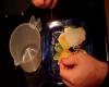 Tips To Make Spaghetti Carbonara In Easy Steps Video
