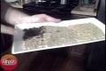 Fennel Spice Rub Recipe