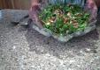How To Make Rainbow Salad