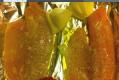 How To Make Baked Tilapia