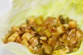Vegan Sauteed Tofu Lettuce Wraps