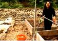 How To Do Vegetable Gardening