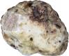 
BOILED RICE WITH WHITE TRUFFLES