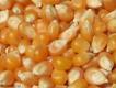 Variety of ways to serve popped popping corn
