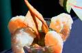 Shrimp Tempura Cocktail : Ming Tsai