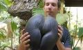 Watching Coconut And Jackfruit Growing In The Wild