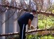 A Tropical Storm "wood Chopping" Workout
