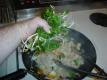 Noodle Bowl