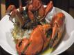 Adventures In Dining: Ministry Of Crab Video