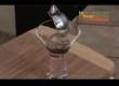 Chocolate Coffee Affogato