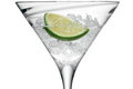 The Agave Dream Cocktail