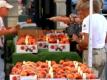 Agriculture On Rise In Virginia