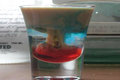The Alien Brain Hemorrhage Cocktail Shooter