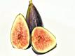 All About Figs