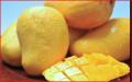 All about Mangoes