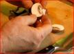 Morning Mushroom Movie - All About Mushrooms
