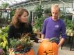 Pumpkin Designing Tips Video