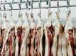 Animal Meat Sold To Public When Sick And Injured  Video