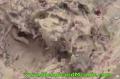 How To Make Anti Aging Vegan Coleslaw