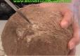 How To Open The Mature Coconut