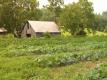 Appalachian Harvest Organic Produce