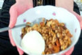 Apple Crisp Fit Foodie