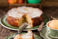 Apple Torte with Cranberries and Raisins 