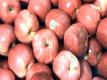 Apple Varieties