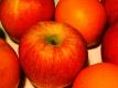 Tips on Counting Apples, Oranges and Bagged Items