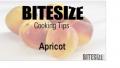 Uses Of Apricots Video