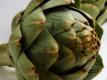 Marinated Artichoke Hearts