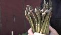 Nutrition: Asparagus