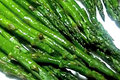 Oven Roasted Asparagus
