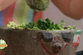 How To Make Authentic Mexican Guacamole