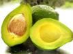 Healthy Food Favorites