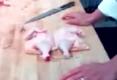 How To Cut A Chicken